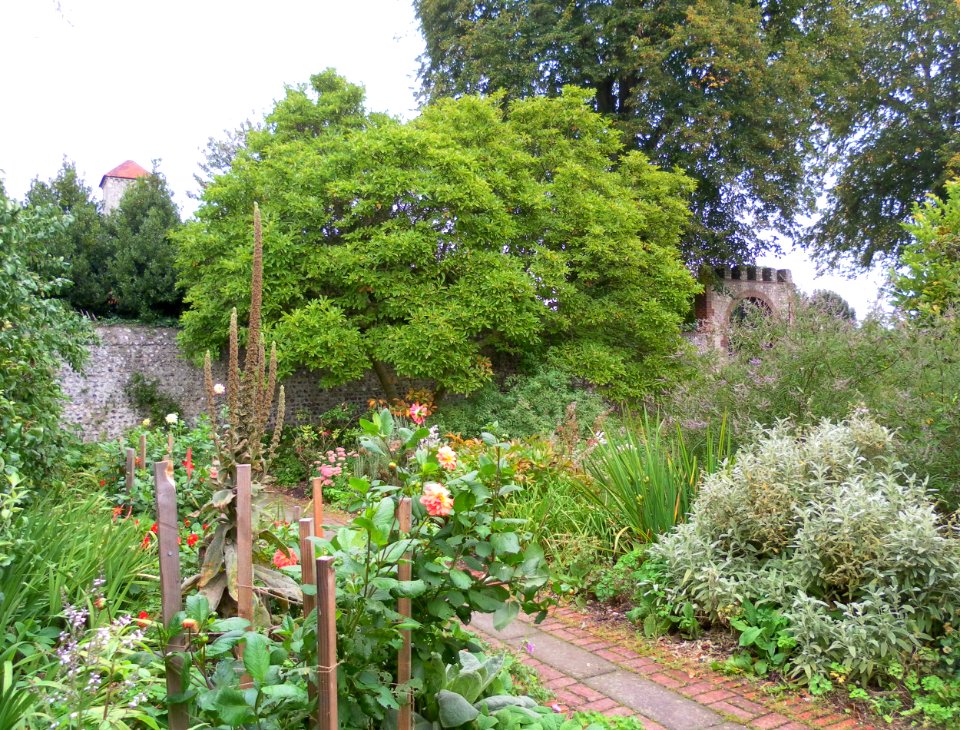 Preston Manor Gardens, Preston Drove, Preston Village, Brighton (September 2011) (16)