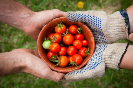 Healthy juicy nutrition