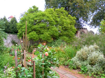 Preston Manor, Brighton - Edwardian Garden