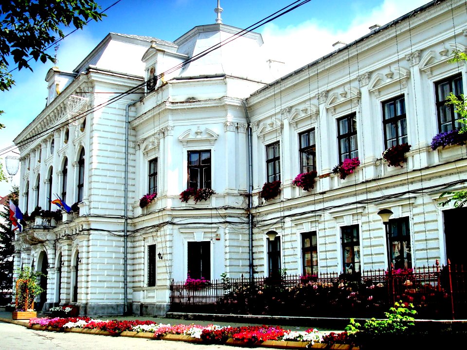 PrimariaTurda02 2009