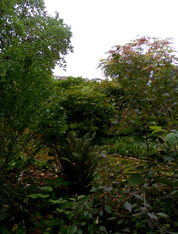 Preston Manor Gardens, Preston Drove, Preston Village, Brighton (September 2011) (9)