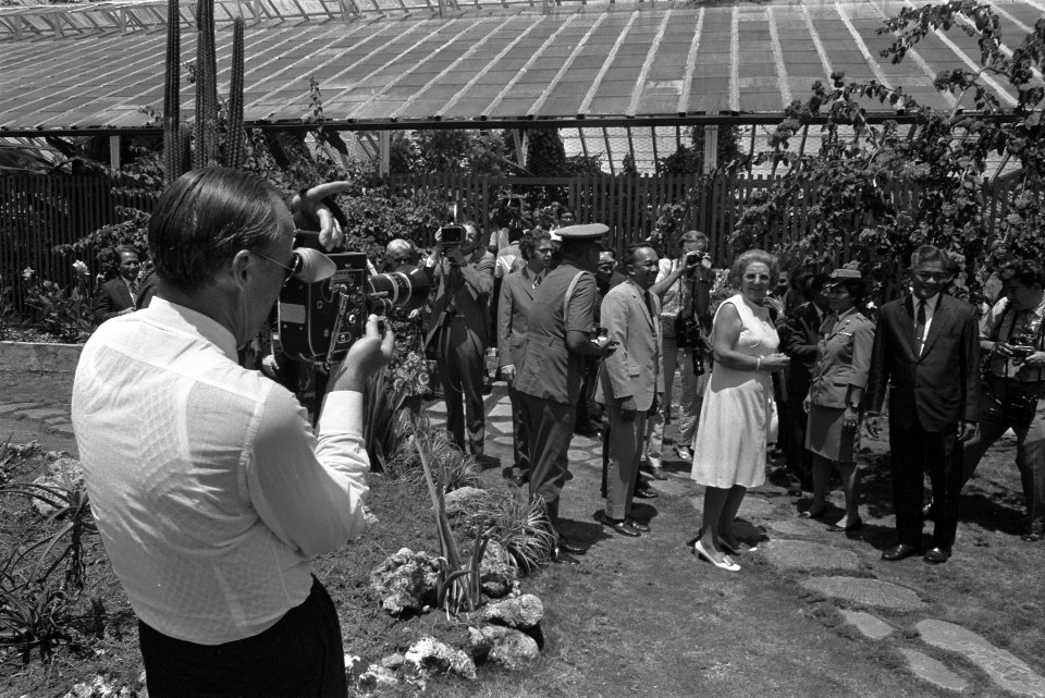 Prins Bernhard filmt koningin Juliana in een plantenhuis in Bogor, Bestanddeelnr 924-8788