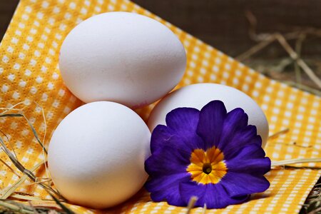 Blossom bloom food