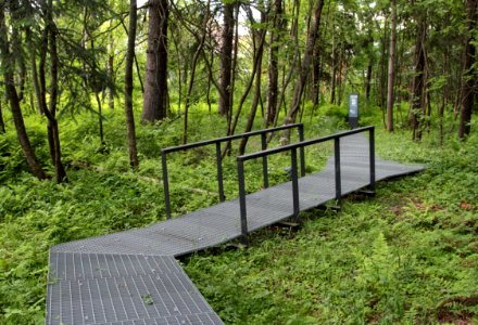 Prikipuisto Oulu 20140629