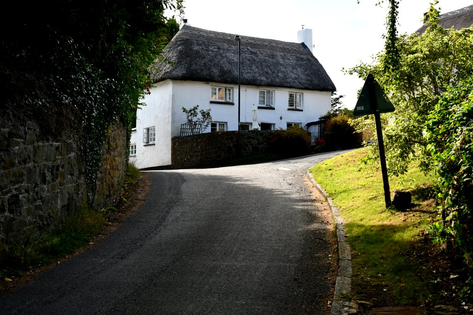 Primrose Cottage (1)