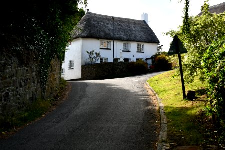 Primrose Cottage (1)