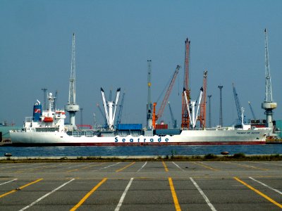 Prince of Waves - IMO 9066485