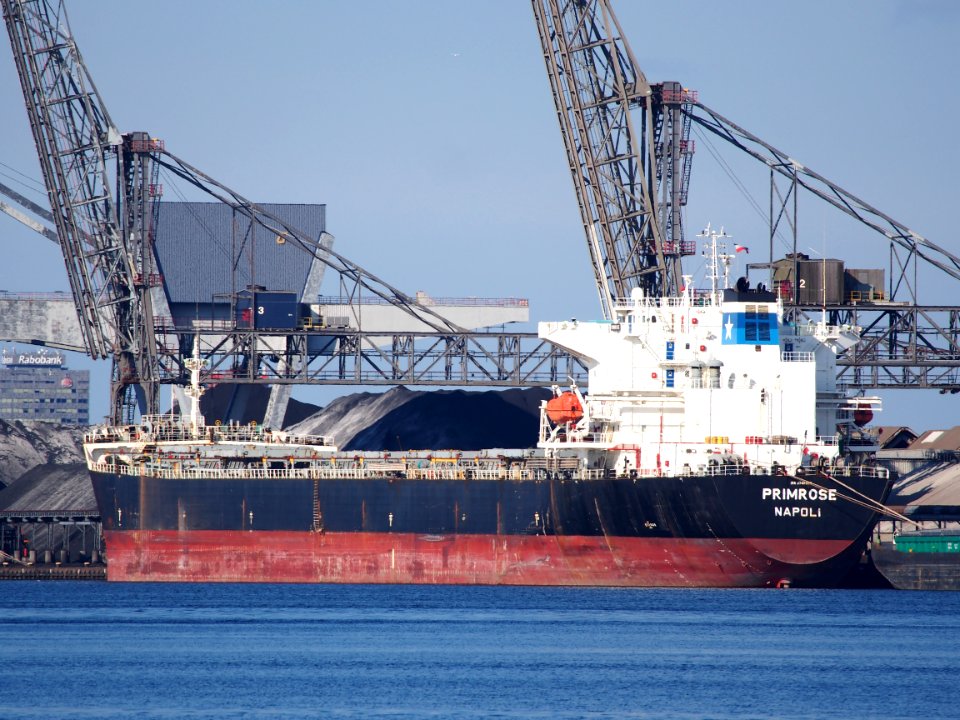 Primrose - IMO 9248899 pic2