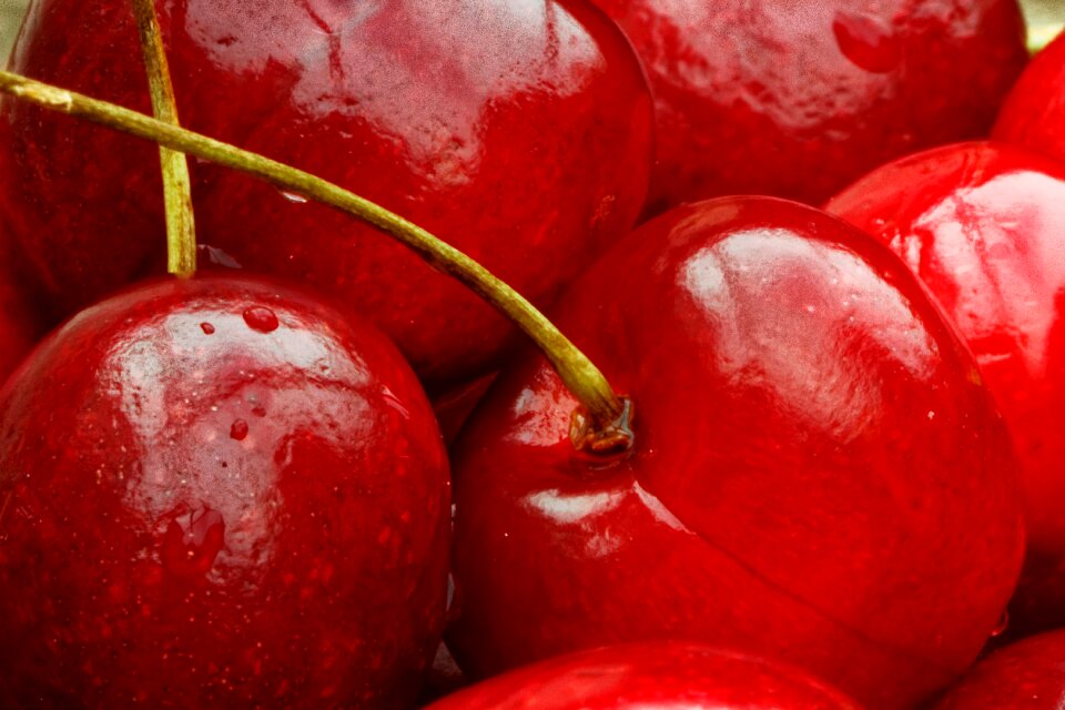 Fruit healthy summer