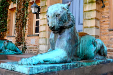 Princeton Tiger Nassau Hall 2