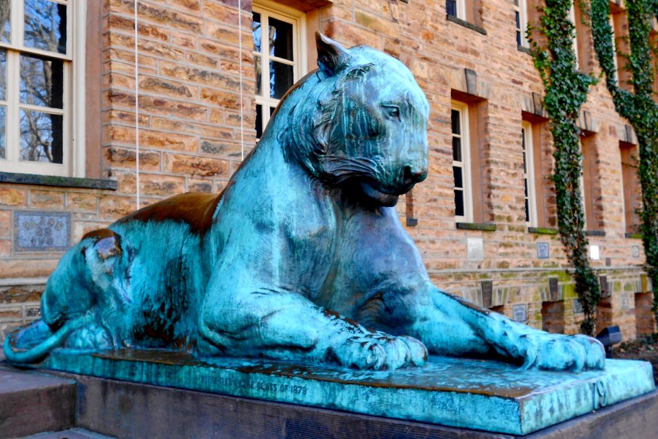 Princeton Tiger Nassau Hall 1