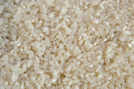 Diet food dietary nutrition