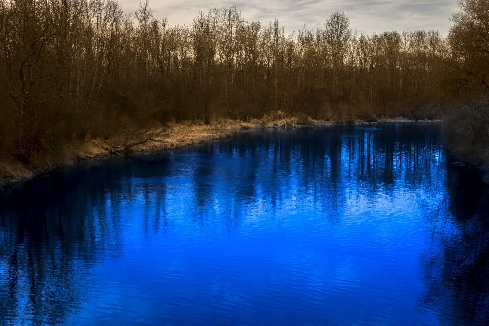 Landscape nature forest