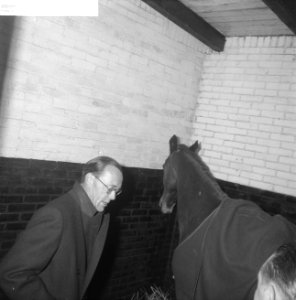 Prins Bernhard bezoekt manege in Bosplan, Bestanddeelnr 913-4838