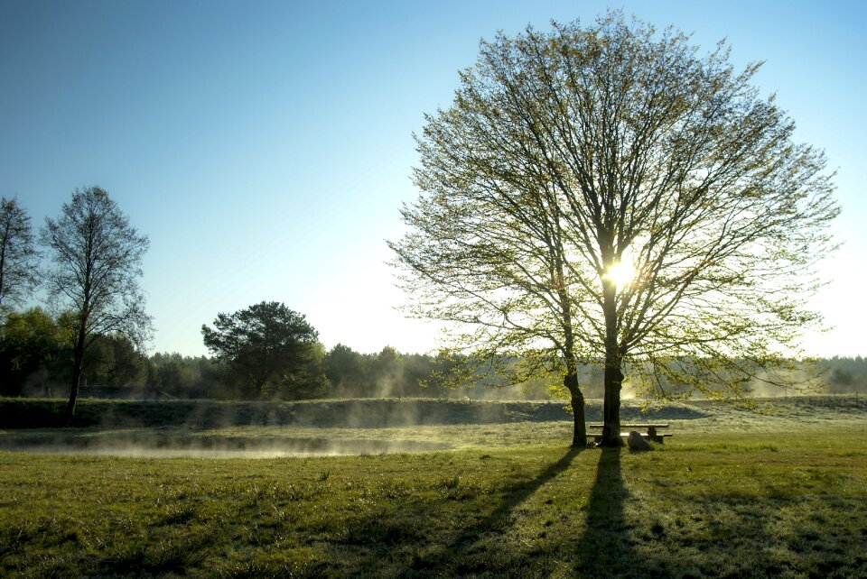 Landscape the fog sunrise photo