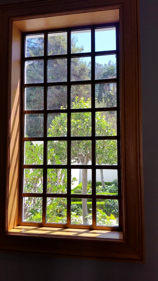 Window garden view light