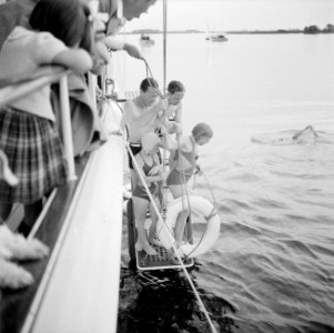 Prins Bernhard, prinses Beatrix en prinses Irene gaan vanaf het jacht zwemmen, Bestanddeelnr 255-7638