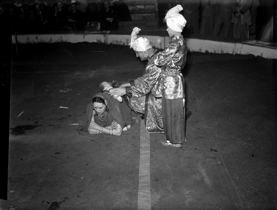 Premiere Carre. Krokodillenbezweerder in actie, Bestanddeelnr 902-5172