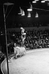Premiere circus Althof in Carre, Bestanddeelnr 914-6344