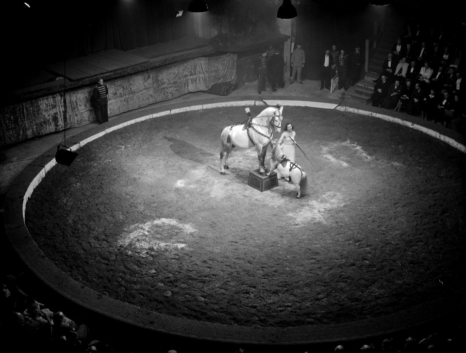Premiere Carre. Elly Strassburger met de grote en de kleine paarden, Bestanddeelnr 902-5171
