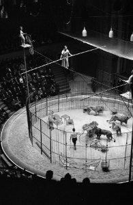 Premiere circus Althof in Carre, Bestanddeelnr 914-6342