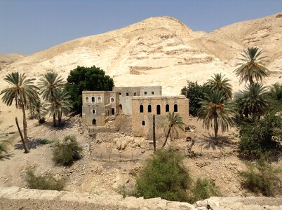 Oasis desert israel photo