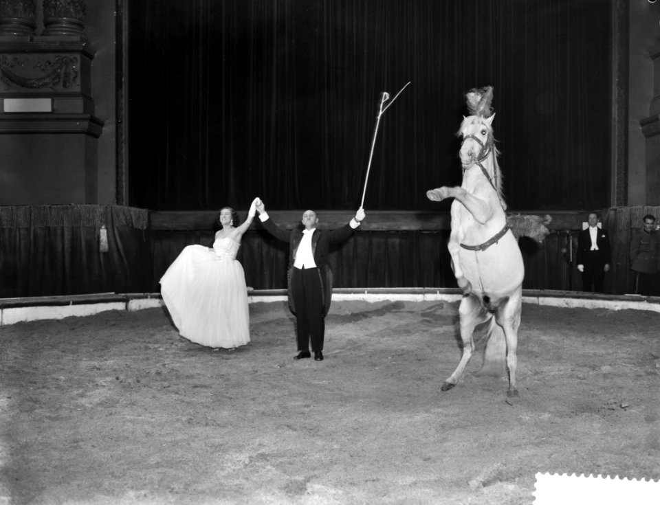 Premiere van Circus Strassburger in Carre te Amsterdam paardendressuur, Bestanddeelnr 910-8970