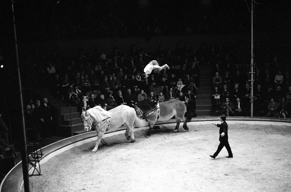 Premiere circus Althof in Carre, de gebroeders Enders op de paarden, Bestanddeelnr 914-6341