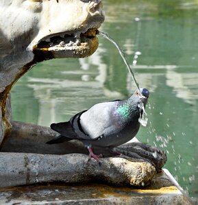 Drink fountain out