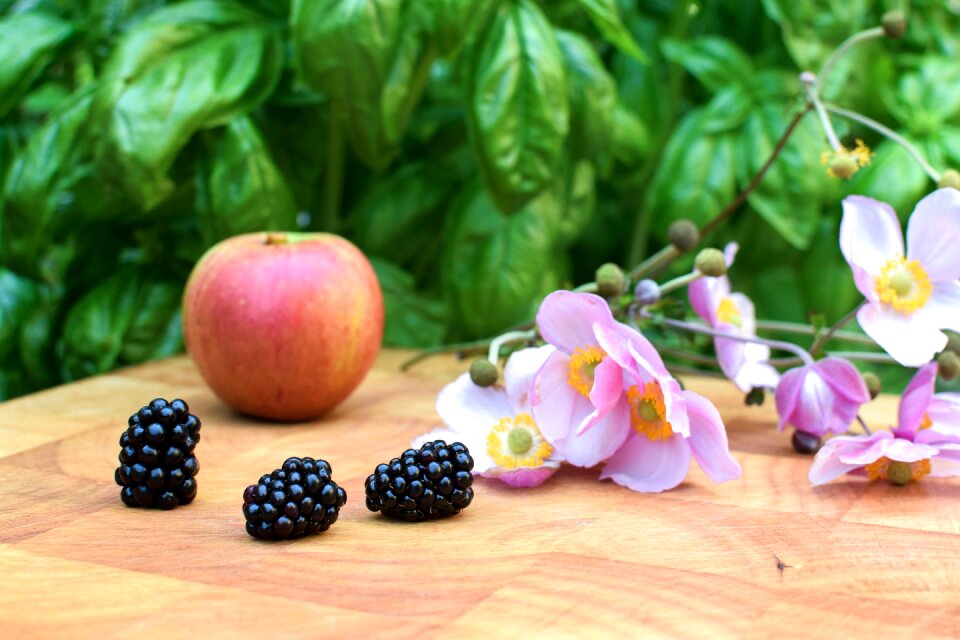 Autumn black berries berry