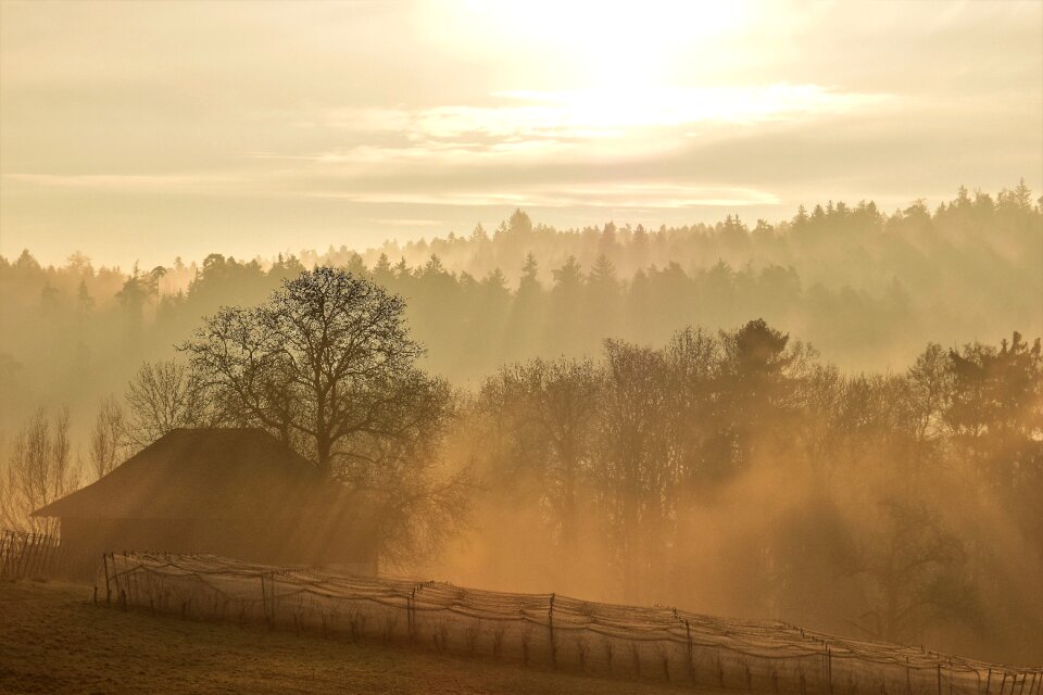 Sunrise dawn skies