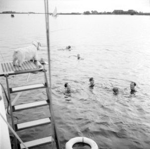 Prins Bernhard, prinses Irene en onbekenden zwemmen naast het jacht, Bestanddeelnr 255-7651