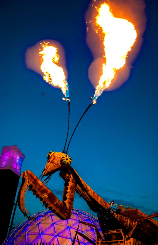 Praying Mantis Breathes Fire (194075455)