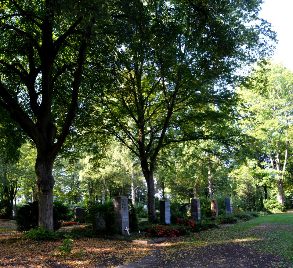 Praunheim, Friedhof