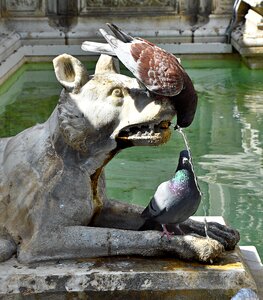 Drink fountain out