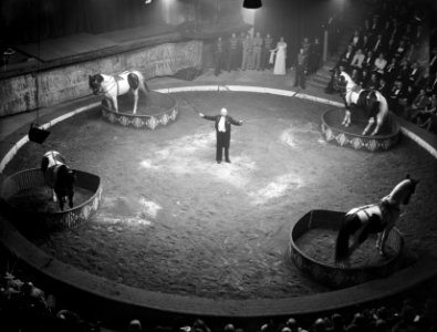 Premiere Carre. Karl Strassburger met De mandenpaarde, Bestanddeelnr 902-5170