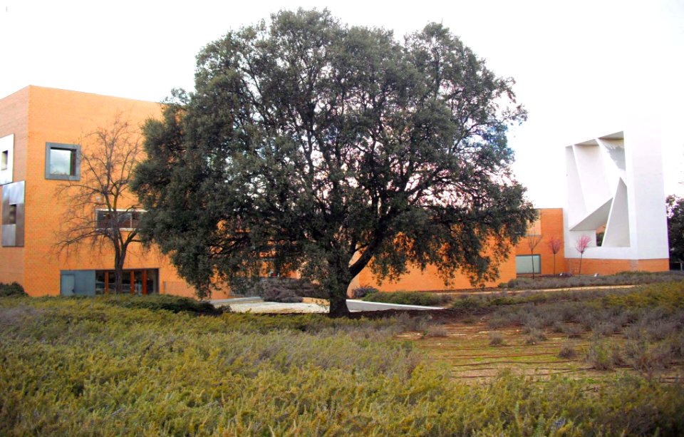 Pozuelo de Alarcón - Somosaguas, Centro Cultural Volturno 06