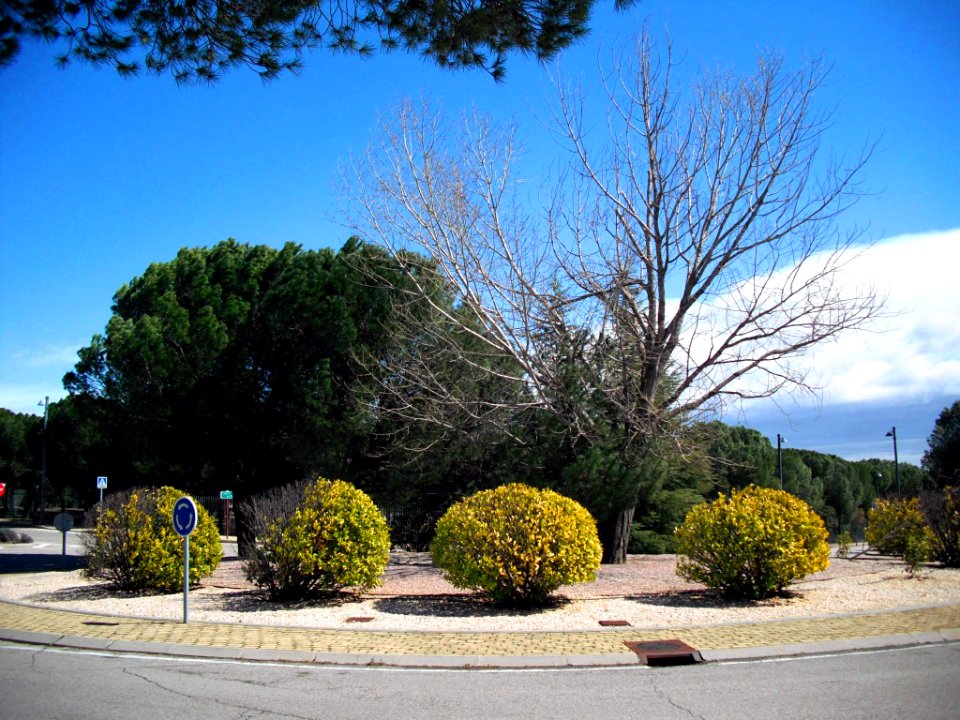 Pozuelo de Alarcón - Somosaguas 10