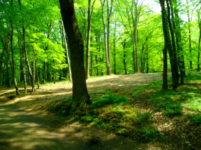 Pozostałość najazdu raciborskiej skoczni narciarskiej