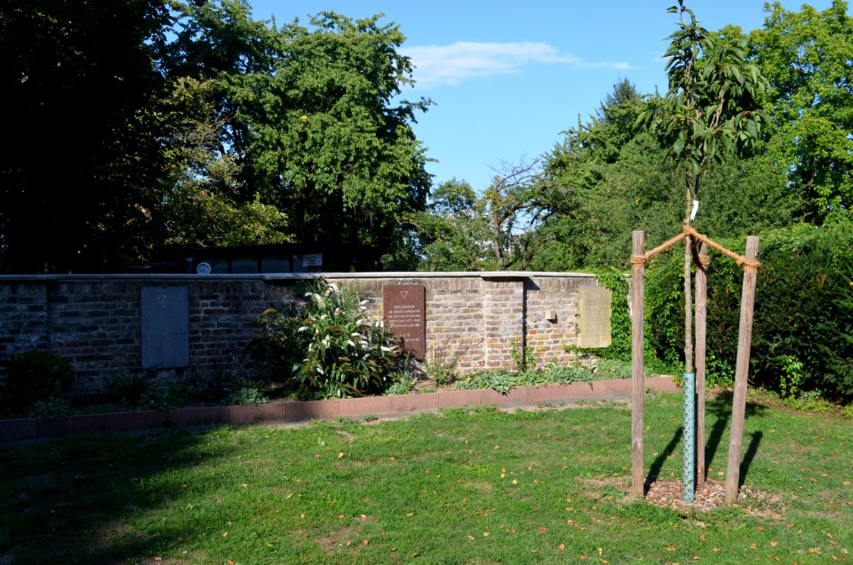 Praunheim, Ehrenmal, Totale