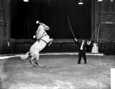 Premiere van Circus Strassburger in Carre te Amsterdam, Bestanddeelnr 910-8968