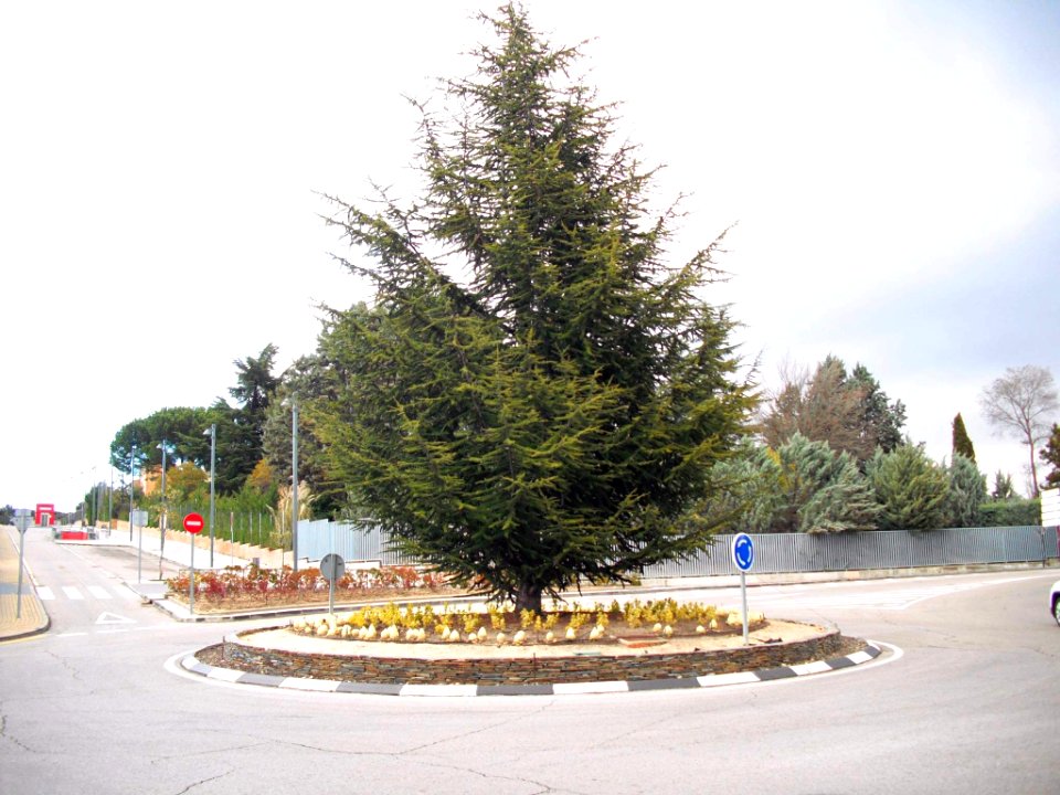 Pozuelo de Alarcón - Somosaguas 07