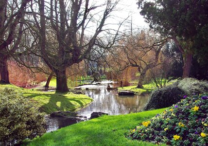 Cascade uk trees