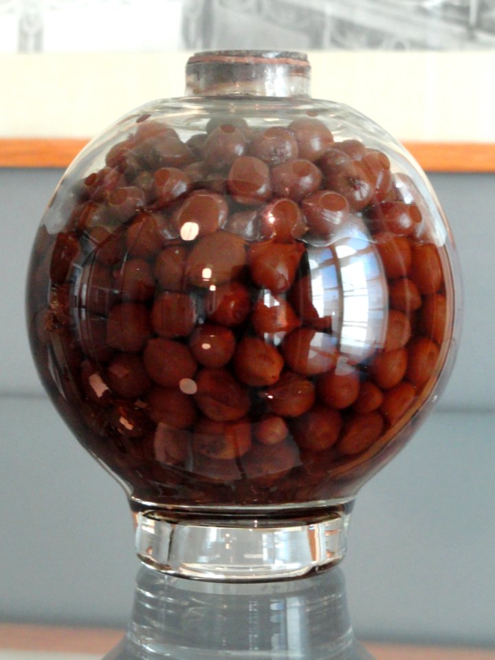 Preserved vegetables - Arppeanum - DSC05132
