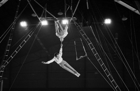Premier Barnum en Bailey te Rotterdam, overzicht van het paardennummer onder lei, Bestanddeelnr 915-9985