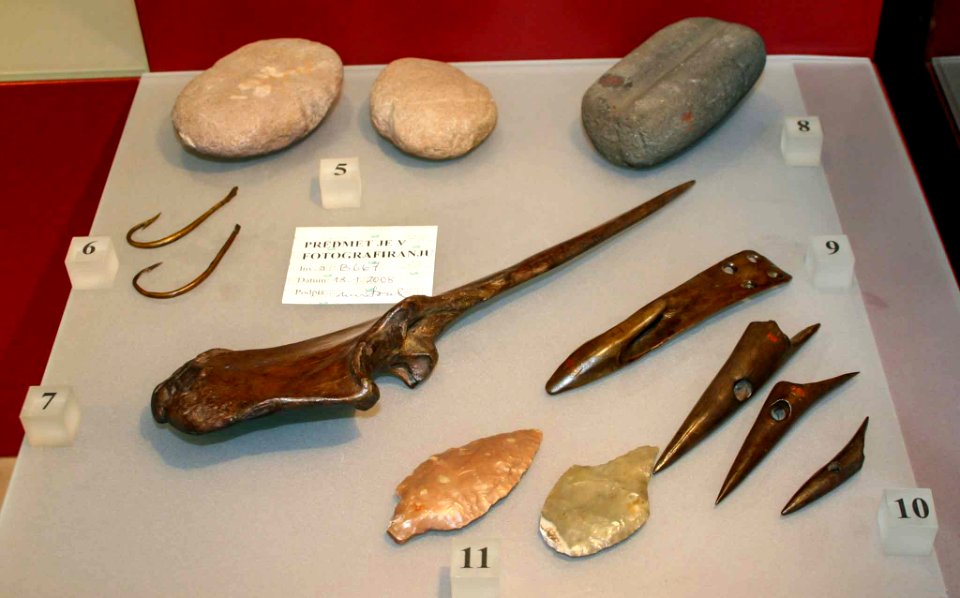 Prehistoric finds in the National Museum of Slovenia 01