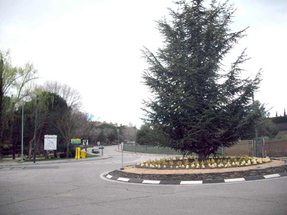 Pozuelo de Alarcón - Somosaguas 01
