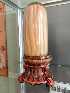 Preserved vegetables - Arppeanum - DSC05130