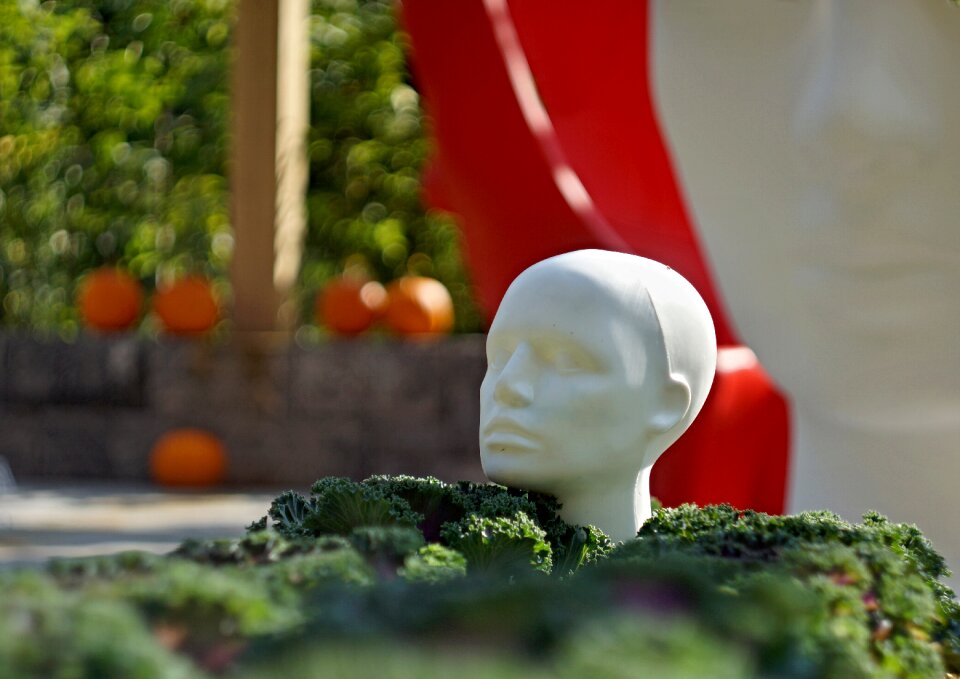 Decoration recreation head
