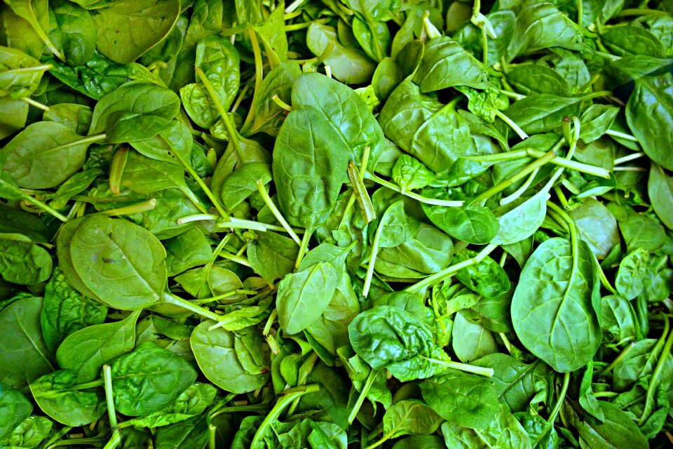 Food nutrition vitamin